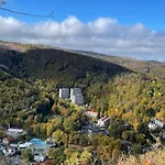 Harz Valley *