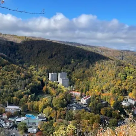 Harz Valley *