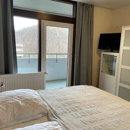 Apartamento Harz Valley *
