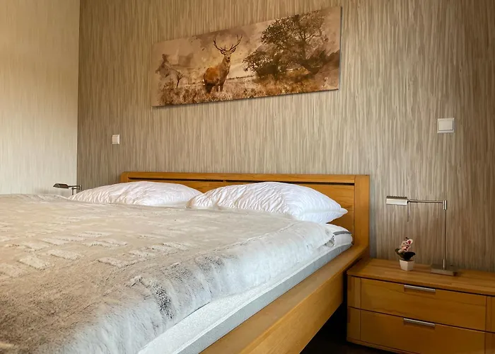 Harz Valley Appartamento *